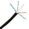BLACK CAT6 UTP Network Cable