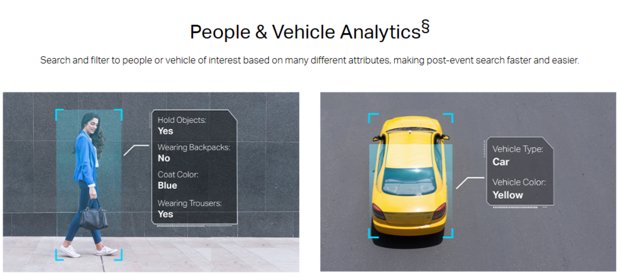VIGI Camera Human & Vehicle Analysis